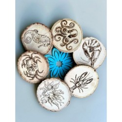 Under Sea World Wooden Coasters with Bark, Set of 6 pcs, 5th wedding anniversary gift, 6th anniversary present,