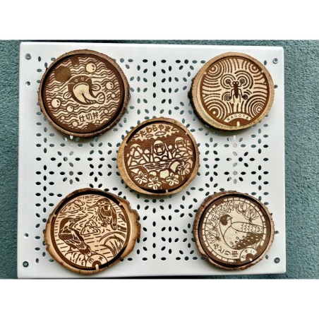 Japan Manhole Covers Animals Insects Wooden Coasters, Set of 5 pcs, New Home Apartment Gift, typical Japanese