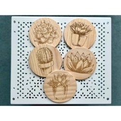 Succulent Cactus Wooden Coasters, Set of 5 pcs, 5th wedding anniversary gift, 6th anniversary present, Teacher retire