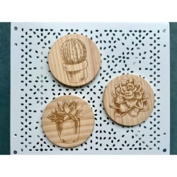 Succulent Cactus Wooden Coasters, Set of 5 pcs, 5th wedding anniversary gift, 6th anniversary present, Teacher retire